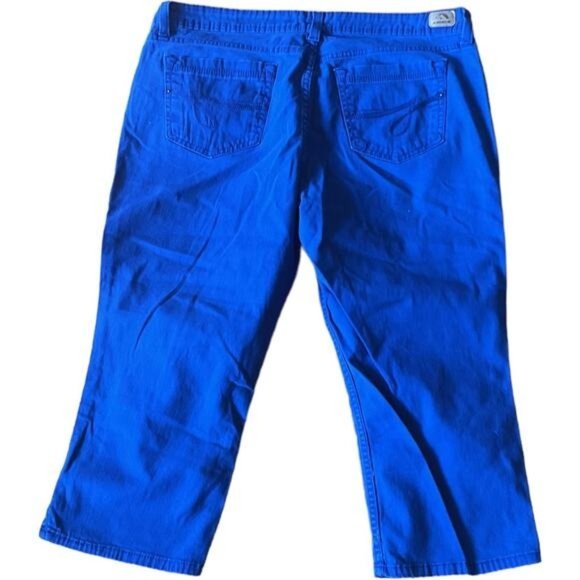 Jordache Blue Capri Skinny Crop Size 16 Pants - Picture 1 of 7